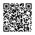 To view this 2011 DODGE DURANGO Evansville IN from Evans Motors, please scan this QR code with your smartphone or tablet to view the mobile version of this page.
