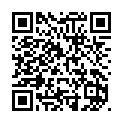 To view this 2013 HYUNDAI SONATA Evansville IN from Evans Motors, please scan this QR code with your smartphone or tablet to view the mobile version of this page.