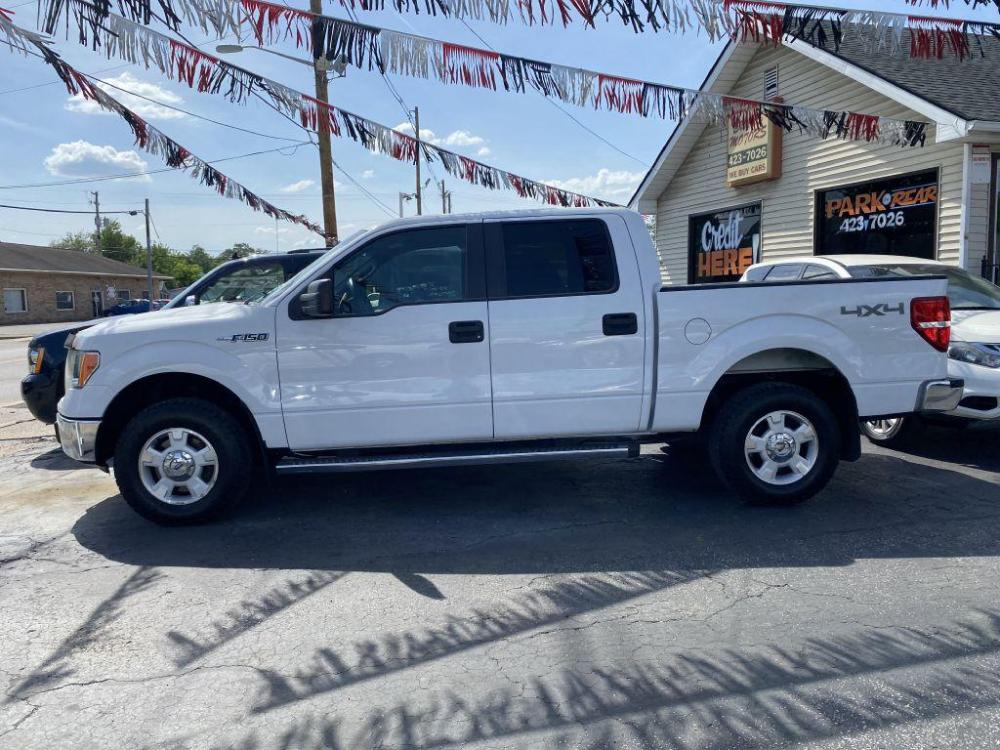 2013 WHITE FORD F150 SUPERCREW (1FTFW1EF8DF) with an 5.0L engine, Automatic transmission, located at 1056 E Riverside Dr, Evansville, IN, 47714, (812) 423-7026, 0.000000, 0.000000 - Photo #0